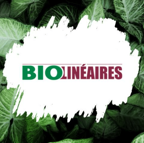 Décryptage Bio Linéaires - Distribution bio 1