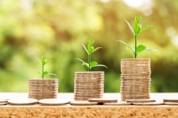Web café - Accompagnement de mes projets / volet financements privés 1 Web café - Accompagnement de mes projets / volet financements privés 1