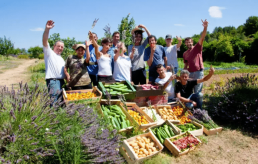 Création d'une plateforme bio de producteurs/transformateurs dans l'ouest Hérault, avec le Réseau Manger Bio 1 Création d'une plateforme bio de producteurs/transformateurs dans l'ouest Hérault, avec le Réseau Manger Bio 1