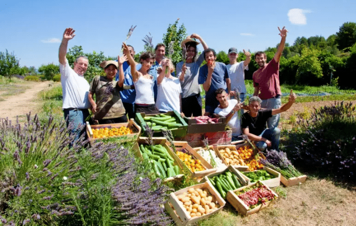 Création d'une plateforme bio de producteurs/transformateurs dans l'ouest Hérault, avec le Réseau Manger Bio 3