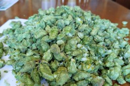 Journée régionale brassicole d’Occitanie 2025 : résumé des échanges et perspectives 2 Journée régionale brassicole d’Occitanie 2025 : résumé des échanges et perspectives 2