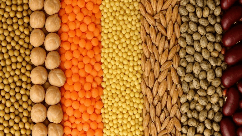 Webinaire - Nouvelles culture de diversification bio 1