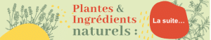 Évènements 4