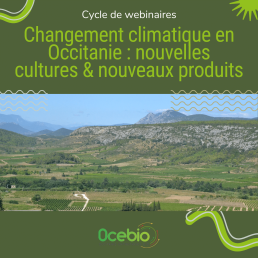Webinaire ☕ Capitaliser sur les cultures locales et émergentes en remplaçant des denrées plus volatiles et carbonées : cacao, café... avec Greenspot technologies 1 Webinaire ☕ Capitaliser sur les cultures locales et émergentes en remplaçant des denrées plus volatiles et carbonées : cacao, café... avec Greenspot technologies 1