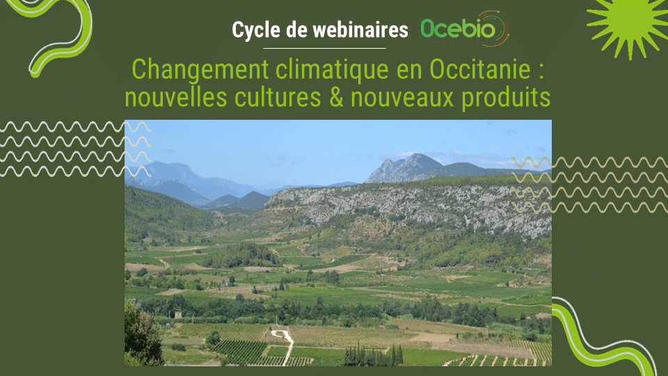 Webinaires Changement climatique en Occitanie : nouvelles cultures et nouveaux produits - Retrouvez les ressources ! 1