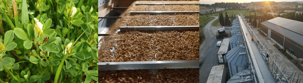Journée Filière brassicole régionale 05/11/2026 1